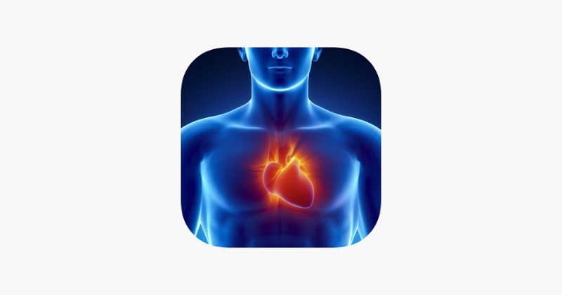 Learn Heart Anatomy Game Cover