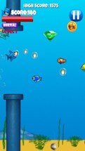 Jumpy Shark - Underwater Action Game For Kids Image