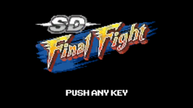 SD FINAL FIGHT Image