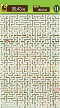 Maze King Image