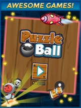 Puzzle Ball Cash Money App Image