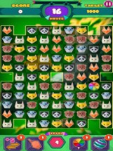 Paper Animal Match 3 Games Image