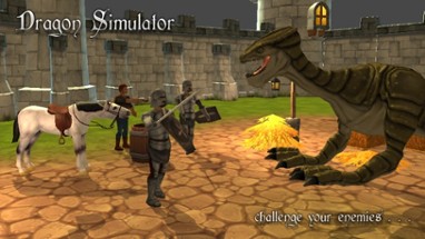Dragon Simulator Image