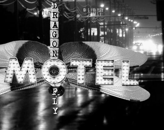 Dragonfly Motel Game Cover