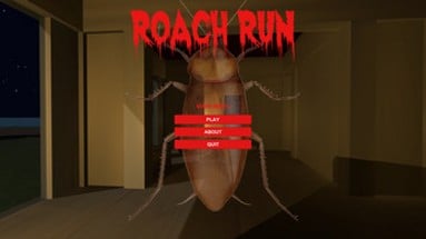 Roach Run Image