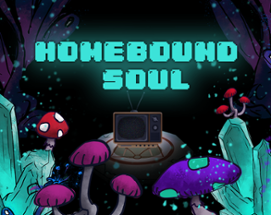 Homebound soul Image