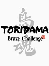 Toridama: Brave Challenge Image
