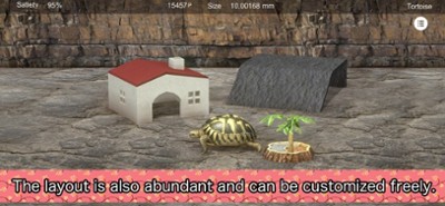 Tortoise to grow relaxedly Image