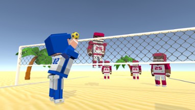 Volleyball Fever Image