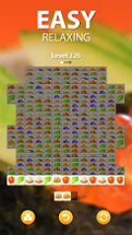 Cooking Match - Puzzle 3 Game Image