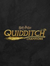 Harry Potter: Quidditch Champions Image