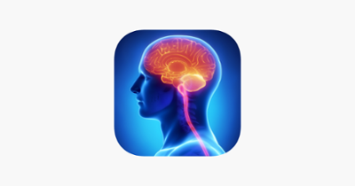Learn Brain Anatomy Image