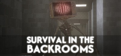 SURVIVAL IN THE BACKROOMS Image