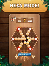 Wooden 100 Block Puzzle Game Image