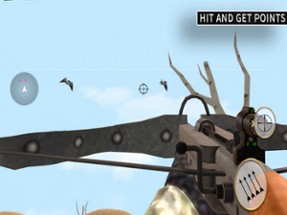 Master Archery Birds: Sky Hunt Image