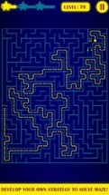 Maze World - Labyrinth Game Image