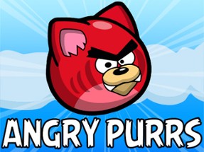 Angry Purrs Image