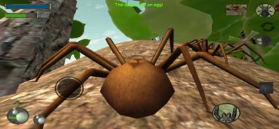 Spider Colony Simulator Image