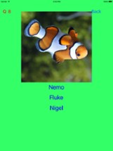 Who Is This ? for Nemo &amp; Dory Image