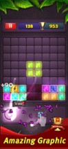 Block Puzzle: Jewel Games 2020 Image