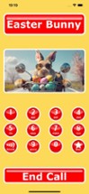 Easter Bunny Call &amp; Text Image