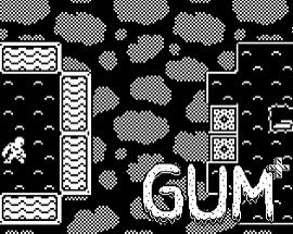 Gum Image