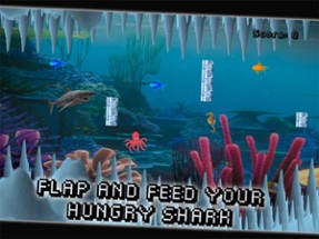 Splashy Shark - Fish Adventure Image
