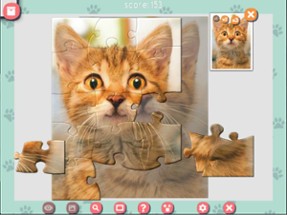 1001 Jigsaw. Cute Cats Image