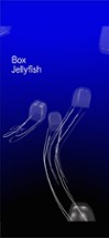 Jellyfish AR/VR Image