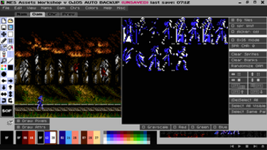 NES Assets Workshop: NAW Image