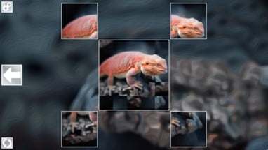 Puzzle Art: Reptiles Image