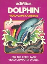 Dolphin Image