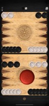 Backgammon ∞ Image