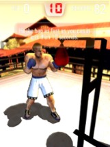 Iron Fist Boxing Image