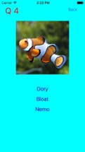 Who Is This ? for Nemo &amp; Dory Image