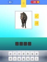 Animals Quiz Game In World Image
