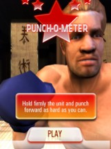 Iron Fist Boxing Image