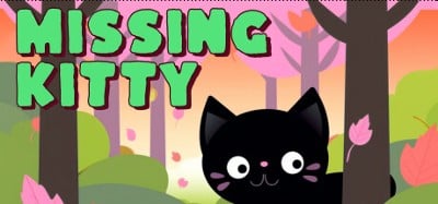 Missing Kitty Image