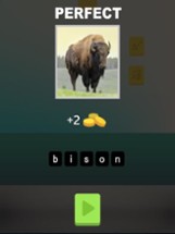 Animals Quiz Game In World Image