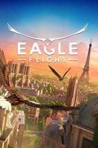 Eagle Flight Image