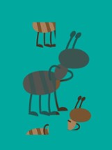 Toddlers Insects - Kids Learn First Words Image