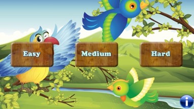 Birds Match Games for Toddlers Image