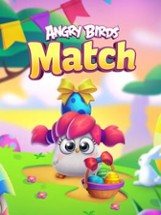 Angry Birds Match Image