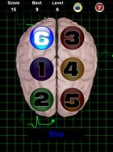 Brain Cracker Memory Game Image