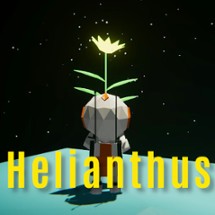 Helianthus Image