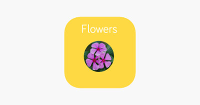 Flowers Flashcard for babies and preschool Image