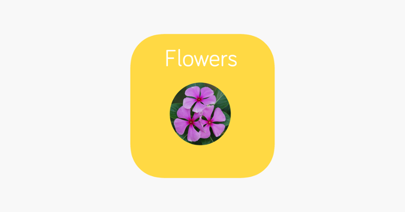 Flowers Flashcard for babies and preschool Game Cover