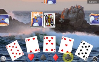 Card Shark Collection Image