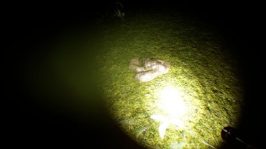 Search 4 Bigfoot Image