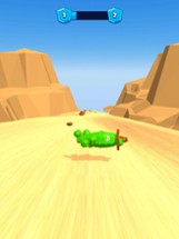 Cactus Bowling Image